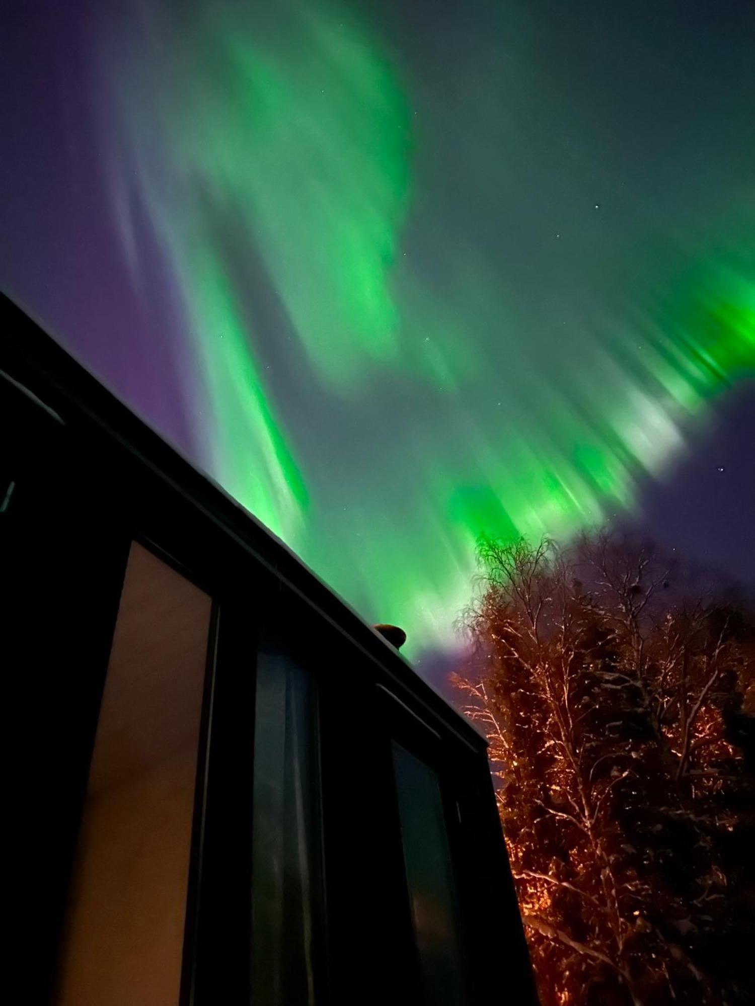 Aurora Forest Lodge Rovaniemi Luaran gambar